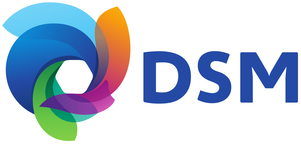 DSM2